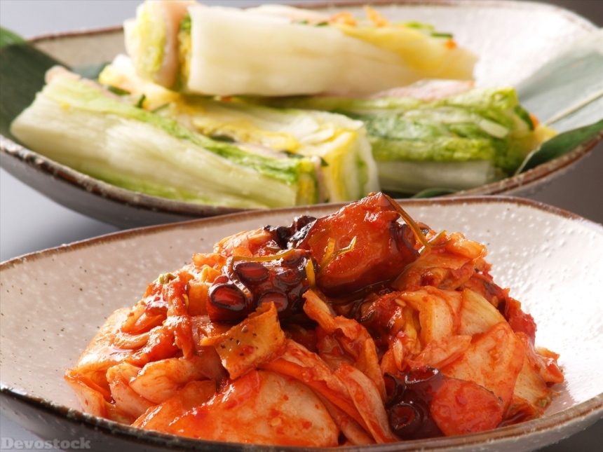 Devostock Kimchi  (3)