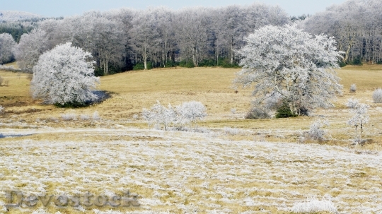 Devostock nature in winter, Department du Tarn, France