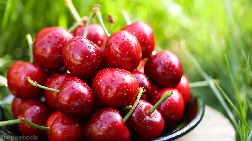 Devostock Nutritious fresh cherries  (10)