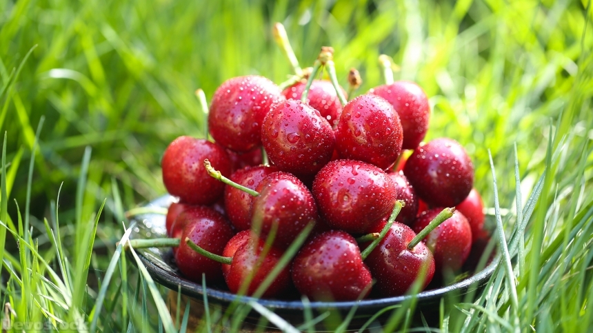 Devostock Nutritious fresh cherries  (7)