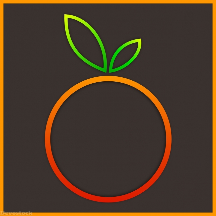 Devostock Orange fruit  (117)