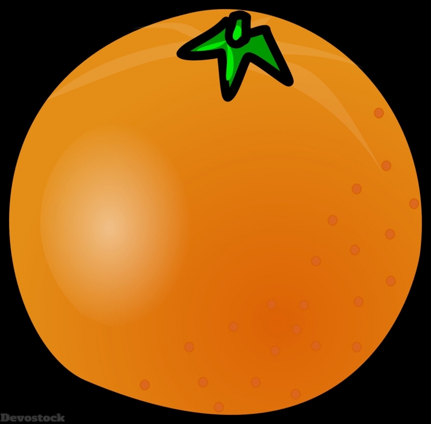Devostock Orange fruit  (138)