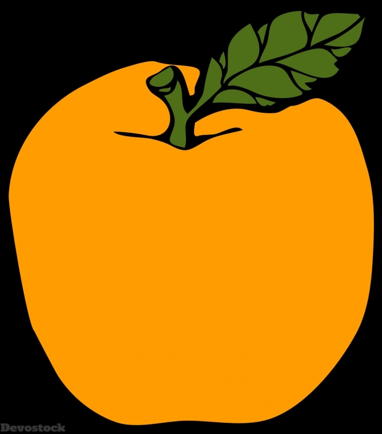 Devostock Orange fruit  (150)