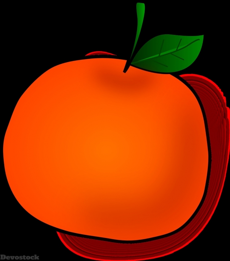 Devostock Orange fruit  (154)