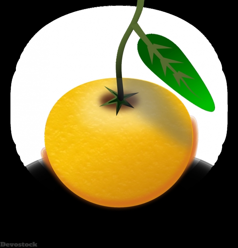 Devostock Orange fruit  (20)