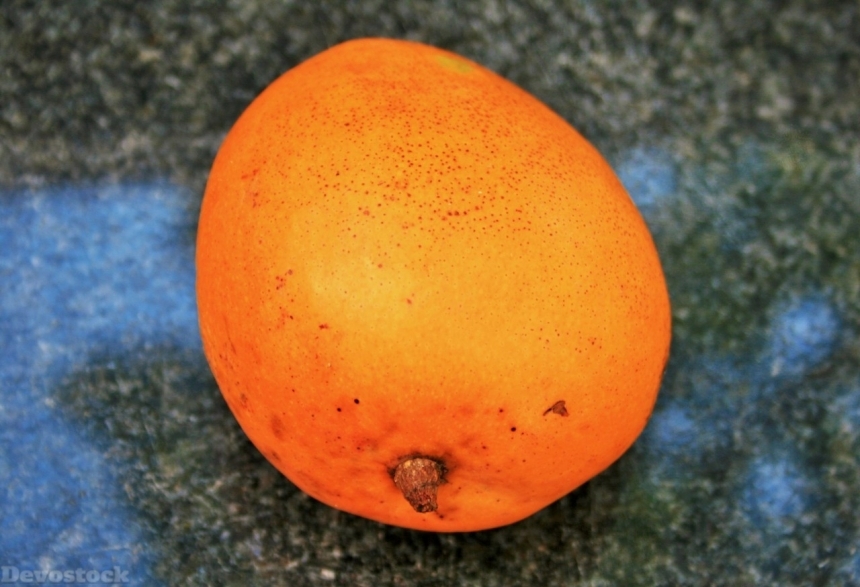 Devostock Orange fruit  (209)