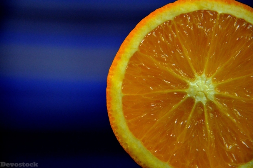 Devostock Orange fruit  (229)