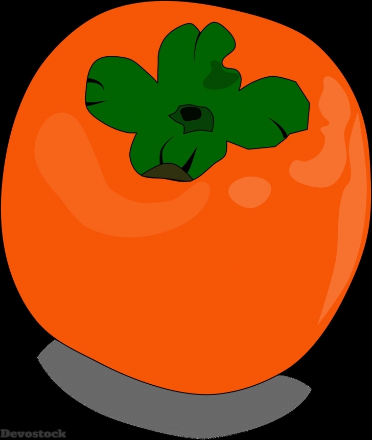 Devostock Orange fruit  (237)