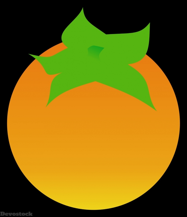 Devostock Orange fruit  (304)