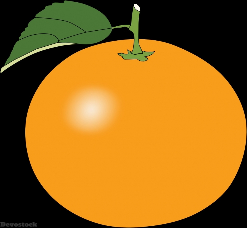 Devostock Orange fruit  (313)