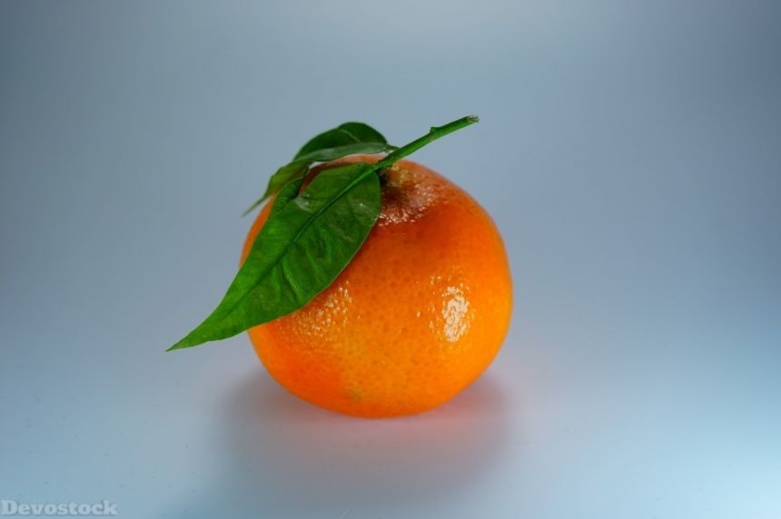 Devostock Orange fruit  (335)