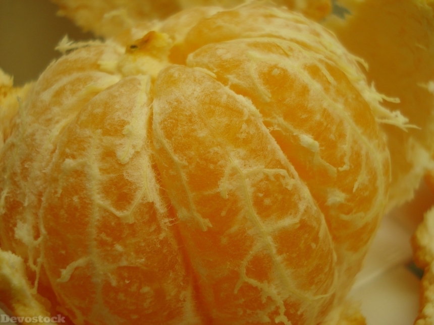 Devostock Orange fruit  (372)