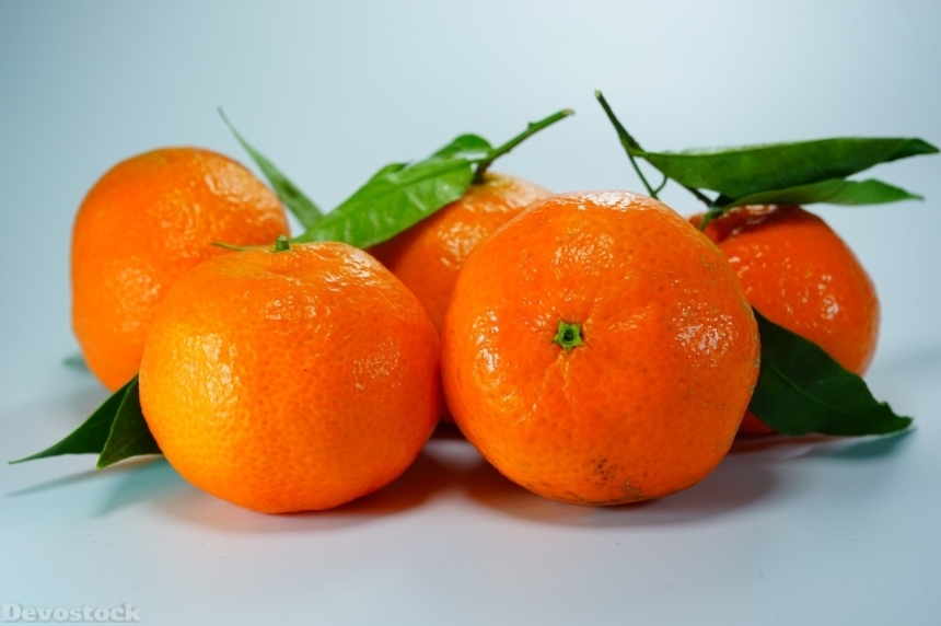 Devostock Orange fruit  (388)