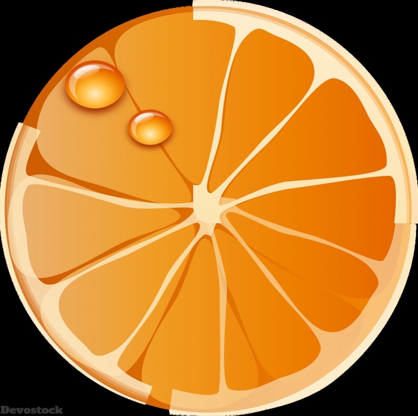 Devostock Orange fruit  (40)