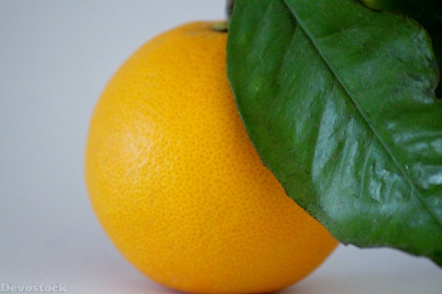Devostock Orange fruit  (411)