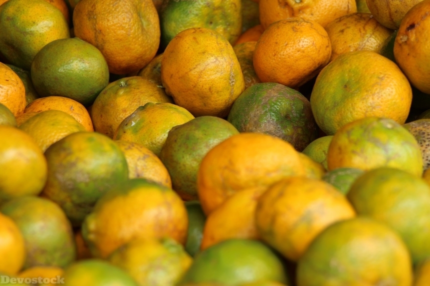 Devostock Orange fruit  (447)