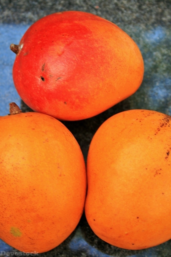 Devostock Orange fruit  (49)