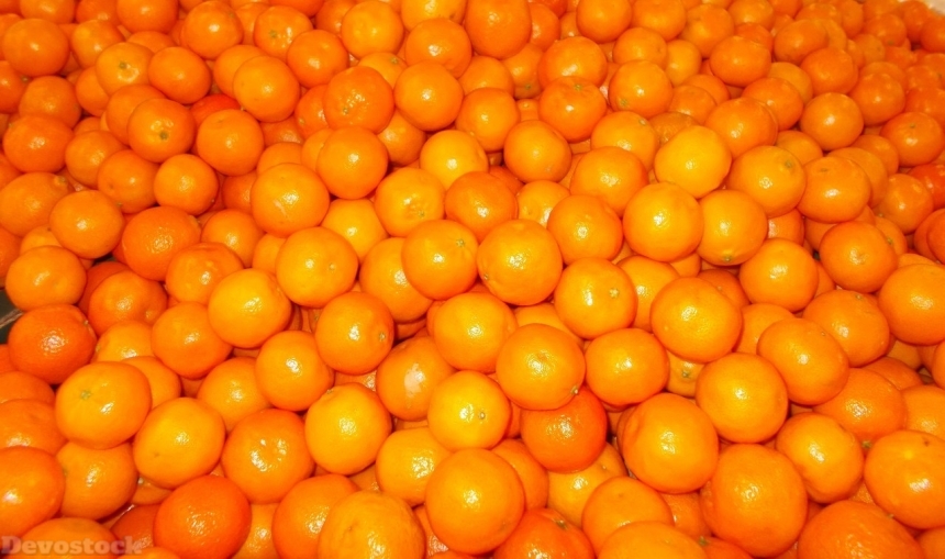 Devostock Orange fruit  (96)