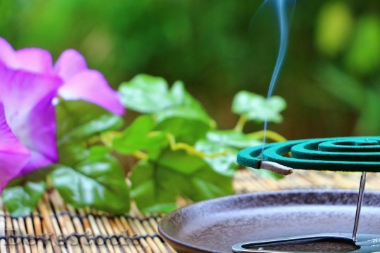 Devostock Relaxation incense