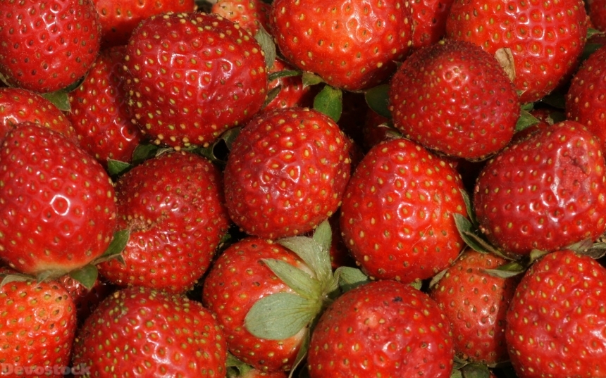 Devostock strawberries-dsc01702-g1-ws