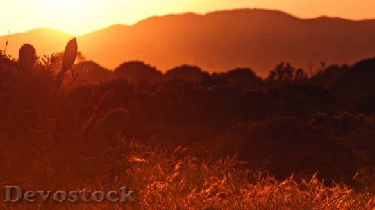 Devostock Sunrise and sunset scenery photo stock (6)