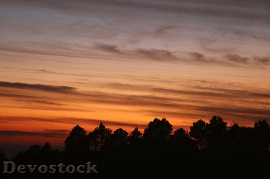 Devostock Sunset  (88)