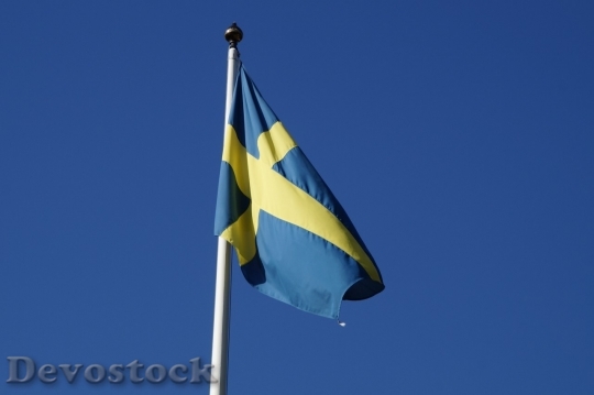 Devostock Sweden flag  (10)