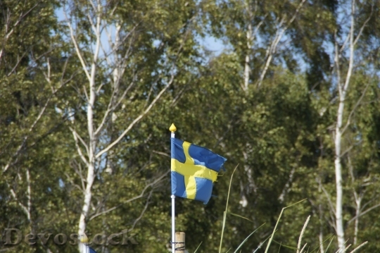 Devostock Sweden flag  (11)