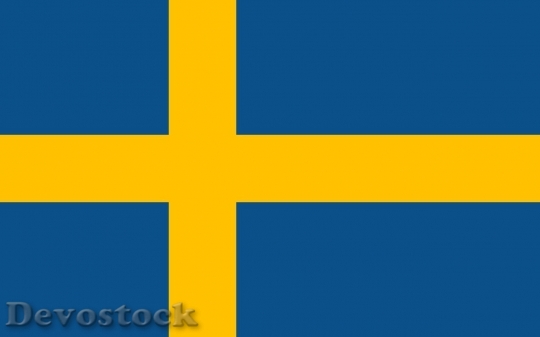 Devostock Sweden flag  (17)