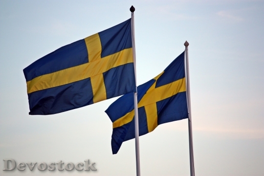 Devostock Sweden flag  (24)