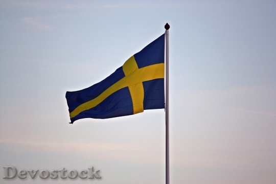 Devostock Sweden flag  (25)