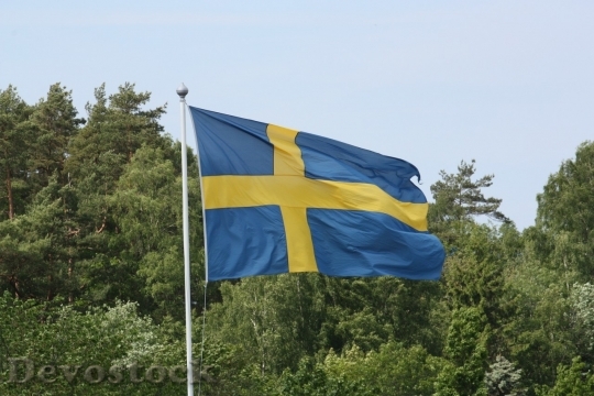 Devostock Sweden flag  (26)