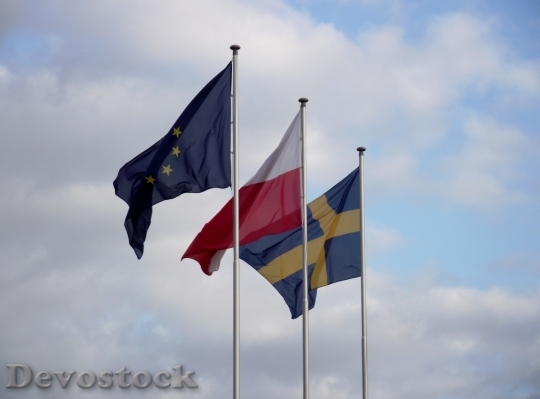 Devostock Sweden flag  (27)