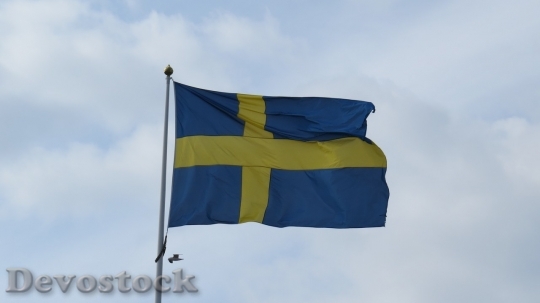 Devostock Sweden flag  (9)