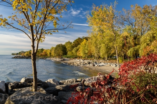 Devostock Autumn colours on the shore of Lake Ontario