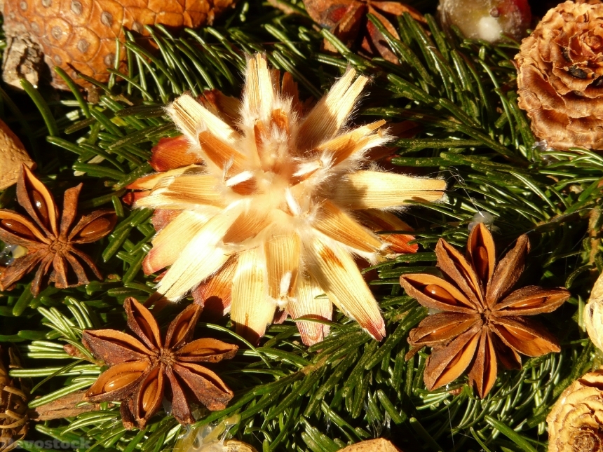 Devostock Advent Wreath Seeds Ornament 2