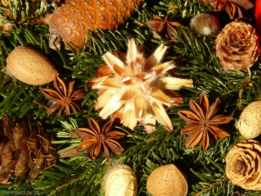 Devostock Advent Wreath Seeds Ornament