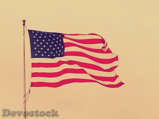 Devostock American Flag Usa Flag 10