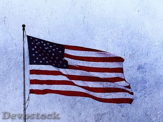 Devostock American Flag Usa Flag 4