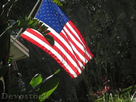 Devostock American Flag Usa Symbol