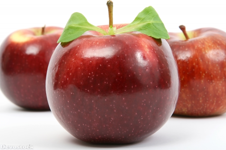 Devostock Appetite Apple Calories Catering 15