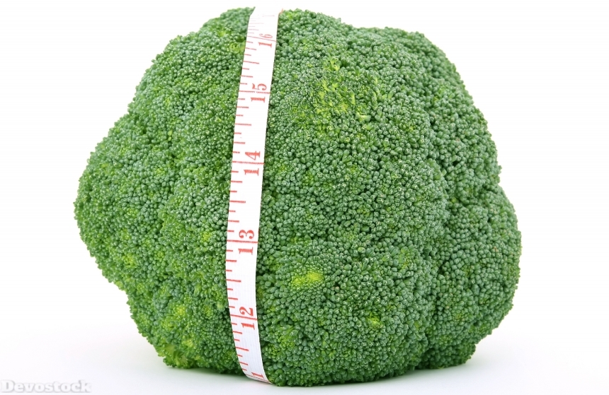 Devostock Appetite Broccoli Brocoli Broccolli 0