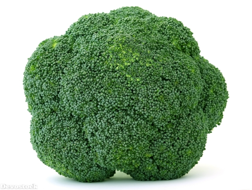 Devostock Appetite Broccoli Brocoli Broccolli 3