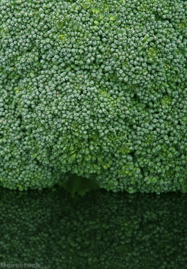 Devostock Appetite Broccoli Brocoli Broccolli 4