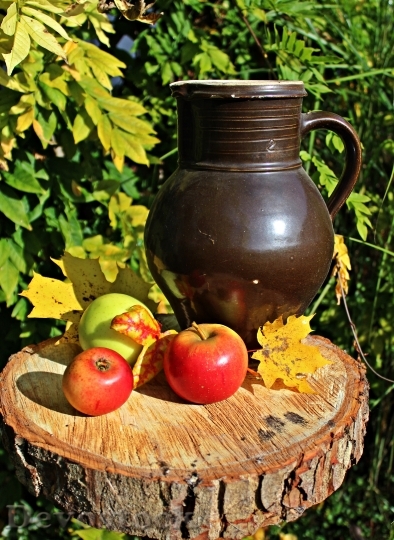 Devostock Apple Autumn Still Life