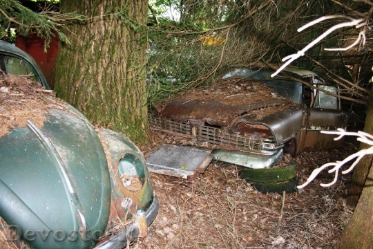 Devostock Auto Car Cemetery Old