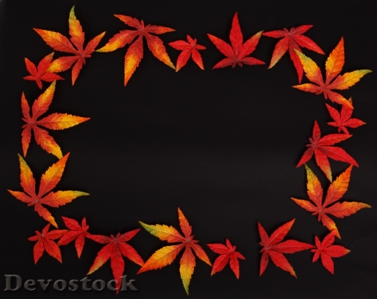 Devostock Autumn Background Dark Frame