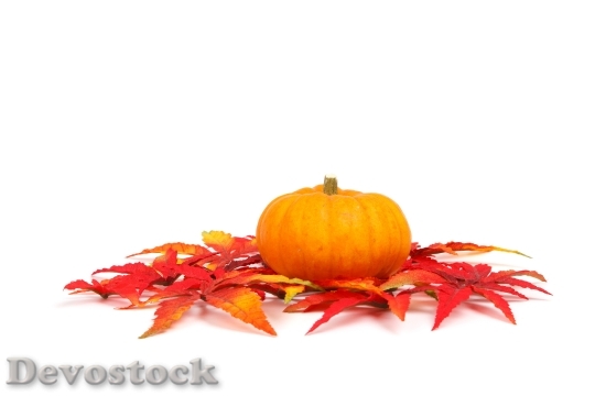 Devostock Autumn Colorful Fall Food