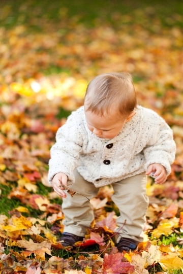 Devostock Autumn Fall Baby Boy 0