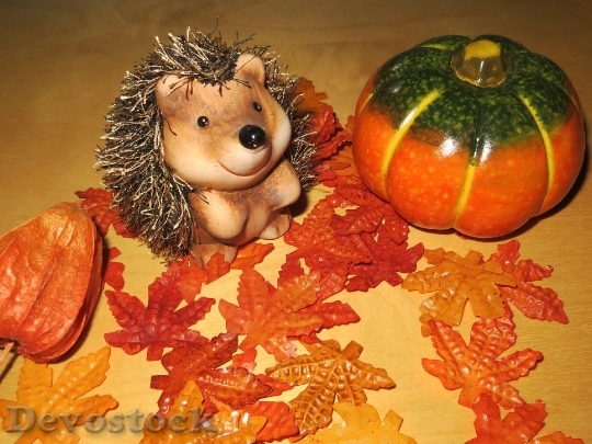 Devostock Autumn Hedgehog Pumpkin Decoration